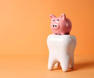 a model tooth and a piggy bank 